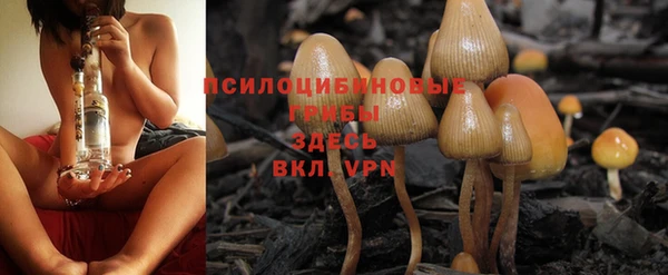 прущий лед Горняк