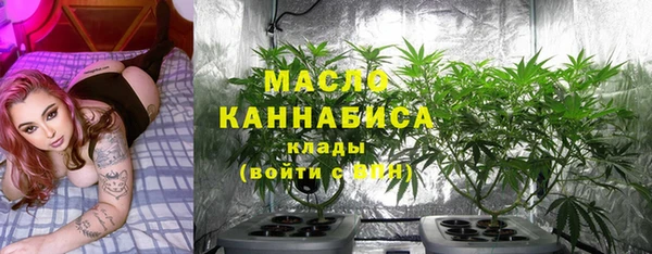 амф Горнозаводск
