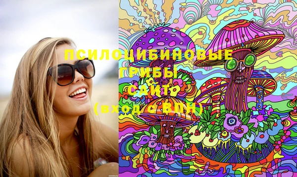 прущий лед Горняк