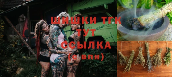 прущий лед Горняк