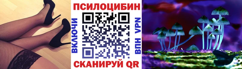 kraken ссылки  Мезень  Псилоцибиновые грибы Psilocybine cubensis 